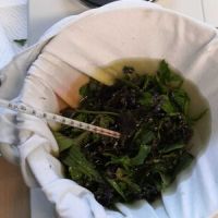 naturapotheke_4