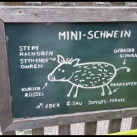 img-20180606-wa0081